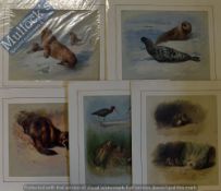 A Thornburn - Prints Featuring Seals, others, Birds mounted ready for framing 40 x 35cm (5)