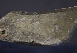 Rare Dutch Kolf club head c.17th century – heavy dent to the face and stamped to the rear with 2x