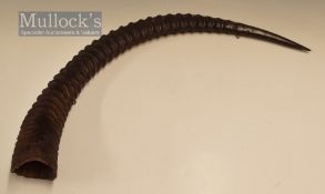 Large Single Gazelle Horn appears with two hooks below, end to end measures 80cm approx.