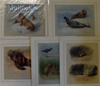 A Thornburn - Prints Featuring Seals, others, Birds mounted ready for framing 40 x 35cm (5)