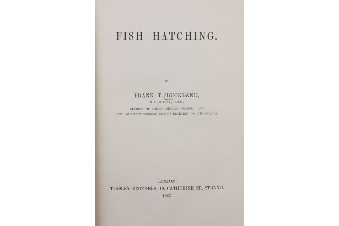 Buckland, Frank T – Fish Hatching London 1863 1st edition fine in original green cloth binding - Image 2 of 2