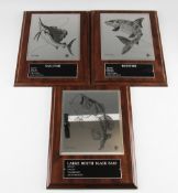3x Osprey Collection Trophy Tournament Fish Plaques – each mounted on matching mahogany wall plaques