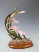 Royal Worcester ornamental studio orchid with butterfly, on fitted wooden plinth, not numbered so