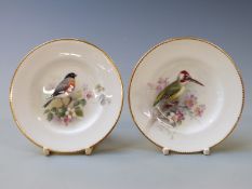 Two signed Royal Worcester pin dishes decorated with a woodpecker and bullfinch by Powell,