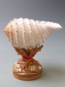 Copeland Spode porcelain nautilus shell pedestal centrepiece with faux coral support, 21cm tall