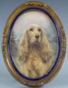 A 19thC watercolour miniature of a Cocker Spaniel in enamel and gilt frame, overall H16cm