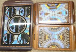 Three inlaid South American trays with butterfly wing decoration, largest 63 x 38cm
