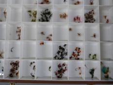 A large collection of modern fly fishing flies contained in seven wooden display cases.