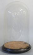 A glass dome on wooden base, height 39cm