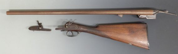 Unnamed 16 bore side by side hammer action shotgun with engraved locks and hammers, 28 inch barrels,