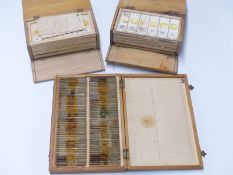 Three cases of microscope slides, two having approximately 12 trays to hold 6 slides per tray, the