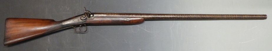 Sherman West Berry 8 bore single barrel percussion hammer action live pigeon gun with named and