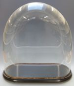 Large glass display dome on ebonised or similar base, to suit taxidermy or similar display, W61 x