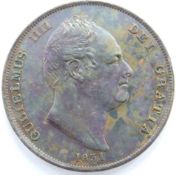 William IV 1831 copper penny, bare head obverse, Britannia reverse, plain edge EF+ with residual