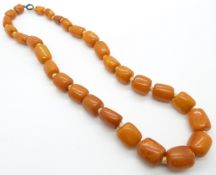 Baltic amber necklace made up of 29 barrel shaped beads, the largest bead 20x19mm, 83g