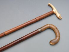 Two walking sticks, one with carved likely marine ivory handle formed as a seal