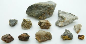 Ten rock specimens with gold veins