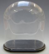 Glass display dome on ebonised or similar base, to suit taxidermy or similar display, W32 x D19 x
