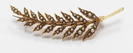 Edwardian 15ct gold fern brooch set with seed pearls, 4.8g