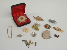 A collection of jewellery including mother of pearl brooch, micro mosaic brooch, silver brooch,