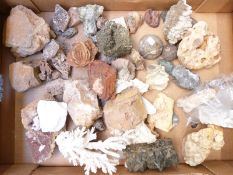 A collection of mineral samples including desert rose, quartz,  coral, etc