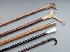 Five various walking canes including horn handled Grindelwald example