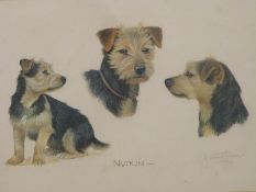 Davina Owen pastel 'Nutkin' terrier dog, signed and dated 1989 lower right, 34 x 47cm