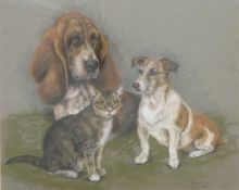 Marjorie Cox pastel of Basset and terrier dogs and a tabby cat, signed and dated 1984 lower right,