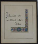 Italian 15thC illuminated border in framed display, 20 x 15cm