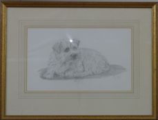 Fran Saunders two pencil portraits of dogs, one 'Pipkin', 32 x 22cm the other 'Brillo' 21 x 35cm