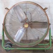 Fan