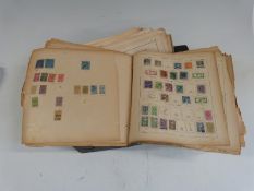 A large quantity of loose, mainly Schaubek, album pages of foreign stamps, mostly early issues