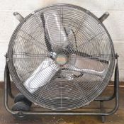 Fan
