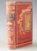 At The Back of The North Wind by George Macdonald with 76 illustrations by Arthur Hughes published