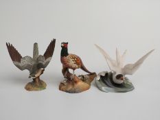 Royal Crown Derby bird figures including tern, hobby and pheasant, H16cm