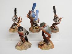 Royal Crown Derby bird figures including a pair of long-tailed tits, kingfisher, fairy wrens and