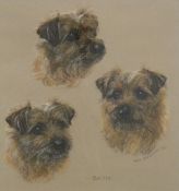Mary Browning pastel triple portrait of a border terrier dog, 'Brillo', signed and dated 85 lower