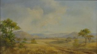 Irene Duggan (b 1936) oil on board of South African / Zimbabwean bush landscape dated 1983, and a