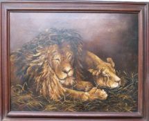 M H Williams oil on canvas lion and lioness, signed and dated 1913 lower left, 65 x 84cm