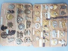 British Army collection of badges including Artists Rifles, Cycling Battalions, Royal Irish Rangers,