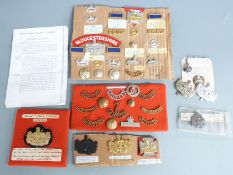 British Army Gloucestershire Regiment cap badges, shoulder titles and buttons etc, including