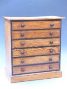 Taxidermy interest, early 20thC collection of British butterflies and moths in pine collectors'