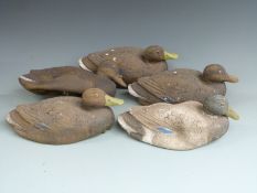 Five Flexicoy mallard duck decoys.