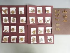 British Army collection of cap badges and shoulder titles including the Devonshire, Dorsetshire,