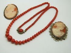 Two silver brooches set with cameos in a cameo box from Rome and a coral necklace