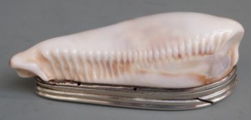 18th century Scottish silver mounted white cowrie shell snuff box with engraved decoration and