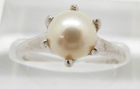 A 14ct white gold ring set with a pearl, 2.9g, size M