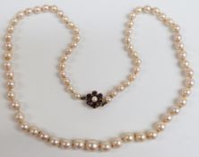 A single strand of cultured pearls with a gold clasp set with amethysts