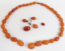 Baltic amber necklace of 30 graduated oval beads, the largest 17.6x14.7mm, 21g together with five