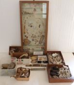 A display cabinet of shells, fish, coral etc with label 'Many from Croyde & Barricane Beach,